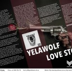 Yelawolf Proposal Powerpoint  Page 5